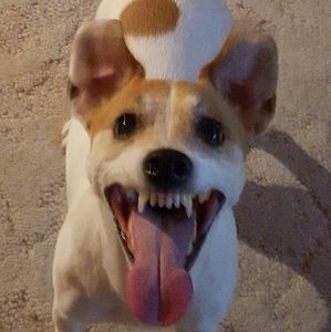 Meet your Posher, Kay